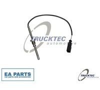 Sensor, exhaust gas temperature for AUDI A4 TRUCKTEC AUTOMOTIVE 07.17.079