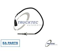 Sensor, exhaust gas temperature for AUDI A5 TRUCKTEC AUTOMOTIVE 07.17.095