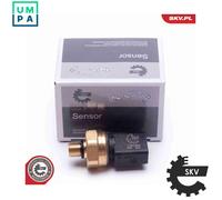ESEN SKV 17SKV624 Fuel pressure sensor