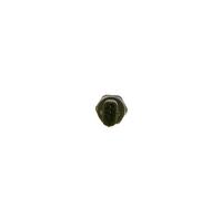 Sensor, fuel pressure BOSCH 0281002903