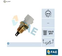 FAE 33440 Intake air temperature sensor