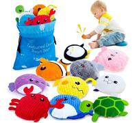 Sensory Bean Bag 10 Packs, Texture Bags for Kids, Baby Toys for Autism, Toddler Marine Animals Beanbags With Storage Bag, Fine Motor Toys for Preschoolers