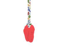 Sensory Oojamabobs - STRONG Dinosaur pendant chew necklace - Autism - Red with lanyard (8 designs available!) (Dinosaurs, 70cm Lanyard)