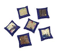 Sensory Textured Bean Bags Bags with Window Providing Sensory Stimulation (Set of 6)