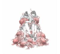 Sentence Structure in the Country