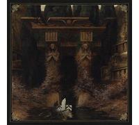 SENTIENT RUIN LA - DELVE INTO THE MYSTERIES OF TRANSCENDENCE - Vinyl R - N600z