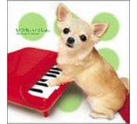 Sentiment For Dogs & Human