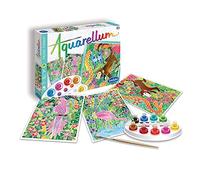 Aquarellum Painting By Numbers Amazon - Painting Activities for Kids