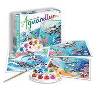 Sentosphère Aquarellum Painting by Numbers Set - Dolphins - Arts & Crafts - Adult & Kids - L