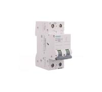 SENTRON 5SL6210-6 2P B10A 6kA AC Circuit Breaker