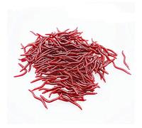 Senven artificial earthworm, Biomimetic Soft Silicone Earthworm Baits Worm Fishing Lures Simulation Red Worms plastic Green Environment Strong Temptation Bait Fake RedWorm - 100Pcs