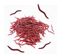 Senven artificial earthworm, Biomimetic Soft Silicone Earthworm Baits Worm Fishing Lures Simulation Red Worms plastic Green Environment Strong Temptation Bait Fake RedWorm - 200Pcs