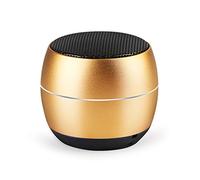 SENXIN Portable Speaker, Wireless Stereo Bluetooth 4.2 Travel Outdoor Sport Bluetooth Speaker Mini Speaker for iOS, Android - Handsfree Calling(Gold)