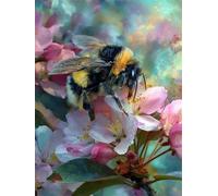 Senyanr Paint by Numbers Kits for Adults Frameless Bee Flower,Painting by Numbers On Canvas for Beginner,DIY Color Acrylic Paints Oil Painting Art Crafts for Home Wall Decor Gift 55x70cm