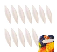 Sepia Bone Set - Lime Bowl 12 Pieces, Beak Toy 9 x 12 cm | Grinding Aid Nibble Stone Food Supplement Accessories Budgie Lovebird Cockatiel Parrot Canary Dragon Aviary Terrarium Animal Care with Long