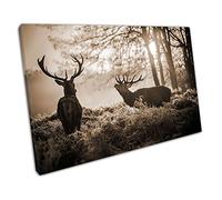 Sepia Red Deer in the Morning Sunshine Animal Art Ready to Hang Canvas Wall Art Print Picture For Home Office Decor 45x30cm (18x12In)