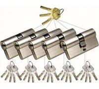 SEPOX 5 Pack 60mm(30/30) Euro Double Lock Cylinder, Master Key System, Brushed Nickel, Alloy Casing High-Security 6-Pin Brass Cylinder Plug, for Front Door, Office & Airbnb Key Management