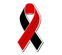 Sepsis Awareness Support Red and Black Ribbon Vinyl Skicker