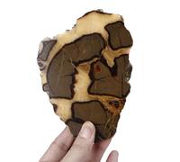 Septarian Dragon Stone Slice - Polished Rough Crystal Stones with Pattern, Raw Crystal Geode Desk Decor for Home Office Decorative,500~560g