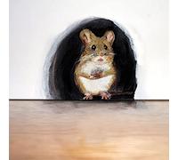 Septpenta 3D Mouse Hole Realistic Wall Sticker, Realistic Pattern, PVC Material Non-Toxic Harmless, Mouse Cave Murals for Flat and Clean Surface, Baseboards, Walls(1)