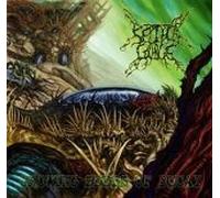 Septycal Gorge - Growing Seeds of Decay