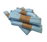 SEQUENTIAL Baby Blue Raffia Paper Ribbon 10m Bundle, for Arts and Crafts, Gifts, Favours, Flowers, Scrapbooks, DIY, Gift Box Packing