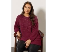 Sequin Embellished Knitted Top Evans Red 30-32