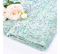 Sequin Fabric by The Yard Sage Green Velvet Fabric 2 Yards Shimmer Sparkle Material Fabric for Sewing Shiny Pillow Cover Hat Soft Velvet Fabric for Fashion Crafts