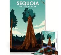 Sequoia National Park Teenagers 1000 Piece Jigsaw Puzzle Thought Training Leisure Pleasure Snug Fit Lovely Gift (50x75cm)