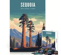 Sequoia National Park Teenagers 1000 Piece Jigsaw Puzzle Thought Training Leisure Pleasure Snug Fit Lovely Gift (38x52cm)