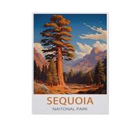 Sequoia National Park Vintage Travel Poster,Tin Signs,Funny Vintage Metal Sign Plaqu Poster Wall Art Kitchen Garden Bathroom Decor-yV1206(8x12Inch)