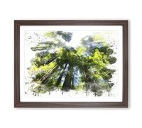 Sequoia Redwood Tree Forest V3 Modern Framed Wall Art Print, Ready to Hang Picture for Living Room Bedroom Home Office Décor, Walnut A2 (64 x 46 cm)