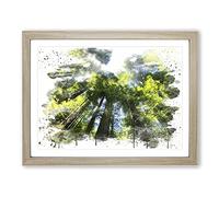 Sequoia Redwood Tree Forest V3 Modern Framed Wall Art Print, Ready to Hang Picture for Living Room Bedroom Home Office Décor, Oak A2 (64 x 46 cm)