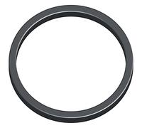 Sera 8070 sealing ring for flore CO2 active reactor 500 & 1000, 1 piece