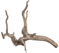 Sera Scaper Root (Price Per Root) Various Sizes Natural Wood Decoration for Aquarium Decoration Aquascaping
