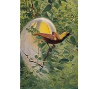 SERENDIPITP Abstract Painting Mural Print Picture Wall Decor Painting Great Bird of Paradise by After Wilhelm Kuhnert Vintage Wall Artwork for Home Decor 60x90cm