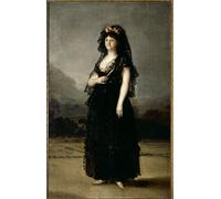 SERENDIPITP Abstract Painting Mural Print Picture Wall Decor Painting Portrait of Queen Maria Luisa Wearing a Mantilla by Francisco De Goya Vintage Wall Artwork for Home Decor 60x90cm