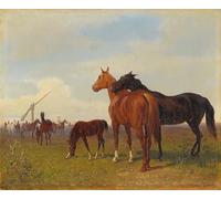 SERENDIPITP Aesthetic Poster Photo Wall Print Retro Picture Horses on the Puszta by Emil Volkers Modern Wall Artwork for Home Decor 60x90cm