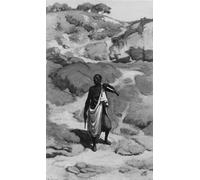 SERENDIPITP Aesthetic Poster Photo Wall Print Retro Picture The African Sentinel Elihu Vedder Modern Wall Artwork for Home Decor 60x90cm