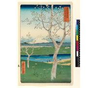 SERENDIPITP Aesthetic Poster Photo Wall Print Retro Picture Thirty-six Views of Mount Fuji by Utagawa Hiroshige Modern Wall Artwork for Home Decor 60x90cm