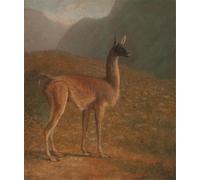 SERENDIPITP Retro Picture Poster Wall Art Pictures Painting Guanaco by Jacques Laurent Agasse Wall Art Canvas Print for Wall Decor 60x90cm
