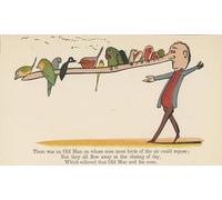 SERENDIPITP Retro Picture Poster Wall Art Pictures Painting There Was an Old Man on Whose Nose Most Birds the Air Could Repose by Edward Leaars Wall Art Canvas Print for Wall Decor 60x90cm