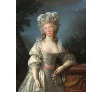 SERENDIPITP Vintage Picture Print on Canvas Wall Art Poster Madame Du Barry by Elisabeth Louise Vigee Lebrun Artwork Print Poster for Wall Decor 60x90cm