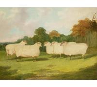 SERENDIPITP Vintage Picture Print on Canvas Wall Art Poster Study of Sheep in a Landscape by Famous Artist Artwork Print Poster for Wall Decor 60x90cm