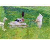 SERENDIPITP Vintage Wall Art Canvas Nordic Poster Canvas Print Picture Ducks by Julius August Friedrich Theodor Von Ehren Wall Art Poster for Home Decor 60x90cm