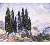 SERENDIPITP Vintage Wall Art Canvas Nordic Poster Canvas Print Picture Ein Garten in Saint-paul by Paul Signac Wall Art Poster for Home Decor 60x90cm