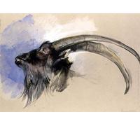 SERENDIPITP Vintage Wall Art Canvas Nordic Poster Canvas Print Picture Head of a Steinbock by John Frederick Lewis Wall Art Poster for Home Decor 60x90cm