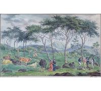 SERENDIPITP Vintage Wall Art Canvas Nordic Poster Canvas Print Picture Herd of Cattle with Cowherds Near the River on the East by Jean Patu De Rosemont Wall Art Poster for Home Decor 60x90cm