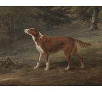 SERENDIPITP Vintage Wall Art Canvas Nordic Poster Canvas Print Picture Ranger a Setter the Property of Elizabeth Gray by George Garrard Wall Art Poster for Home Decor 60x90cm