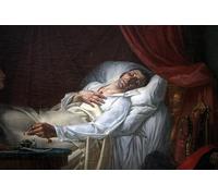 SERENDIPITP Vintage Wall Art Canvas Nordic Poster Canvas Print Picture the Death of General Moreau by Louis Charles Auguste Couder Wall Art Poster for Home Decor 60x90cm